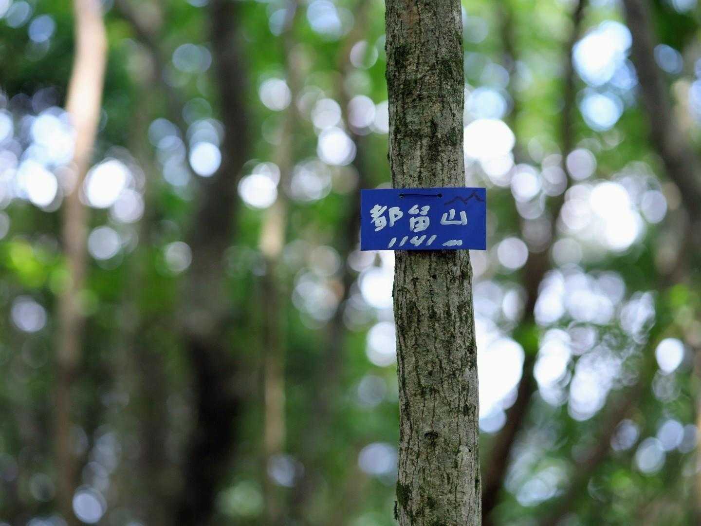 都留山山頂はフラットゾーンの途中にあるため

往路では完全に忘れてたさんちょ🤭