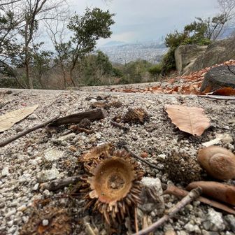 豊作

あっちにこっちに