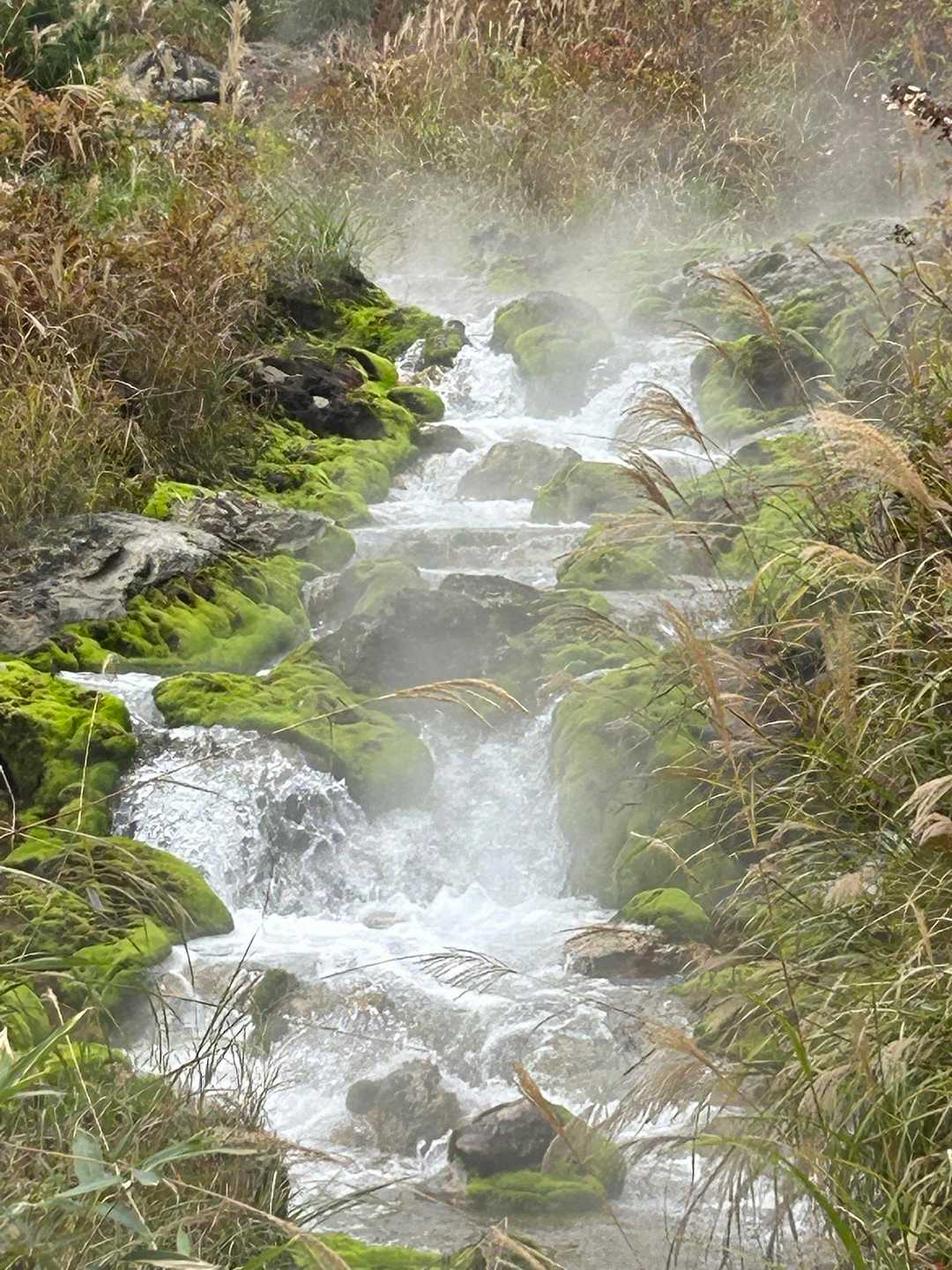 八石山-平兵衛池 周回コースの写真