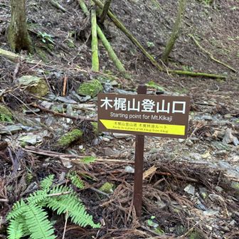 すぐ木梶山の登山口が左、急登です