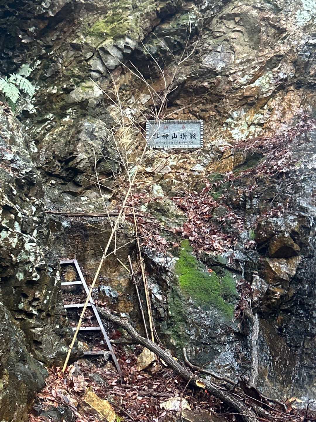鞍掛山 往復コースの写真