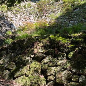 この手の眺めが👍
　畳み掛ける石垣→一番上には天守台が