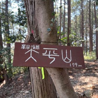 まずは大平山山頂♪
その後八頭山など
破線ルートの山々へ⛰️