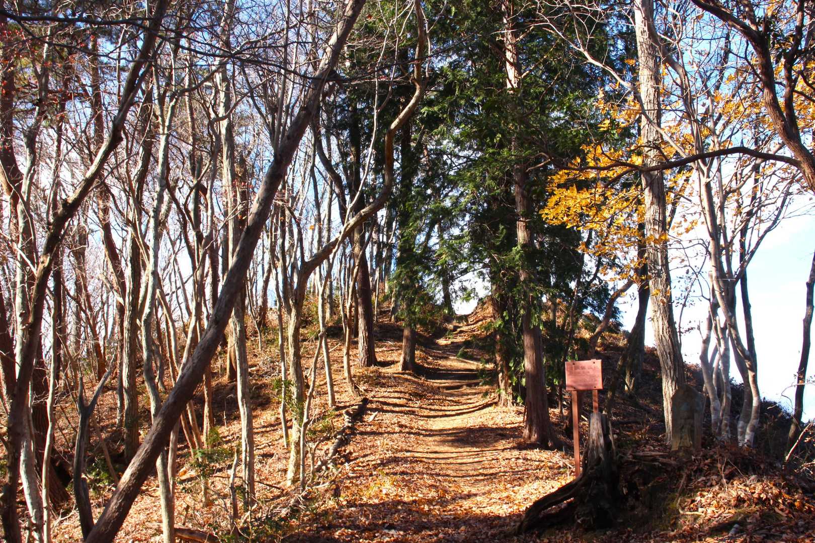 林道を経て、山頂への九十九折を登りきる。山頂はここ登りきって左折。もうちょっと先。
写真右足元付近にお地蔵さん？