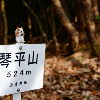 これ以外ありませんでした😅