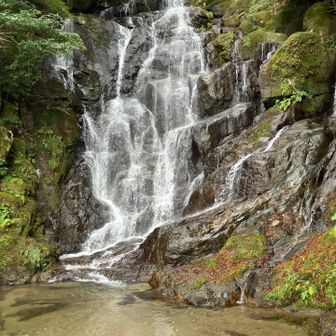 寒いのに、観光客がちらほら。