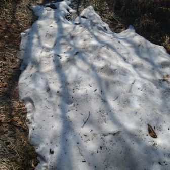 一部、雪が残っていました