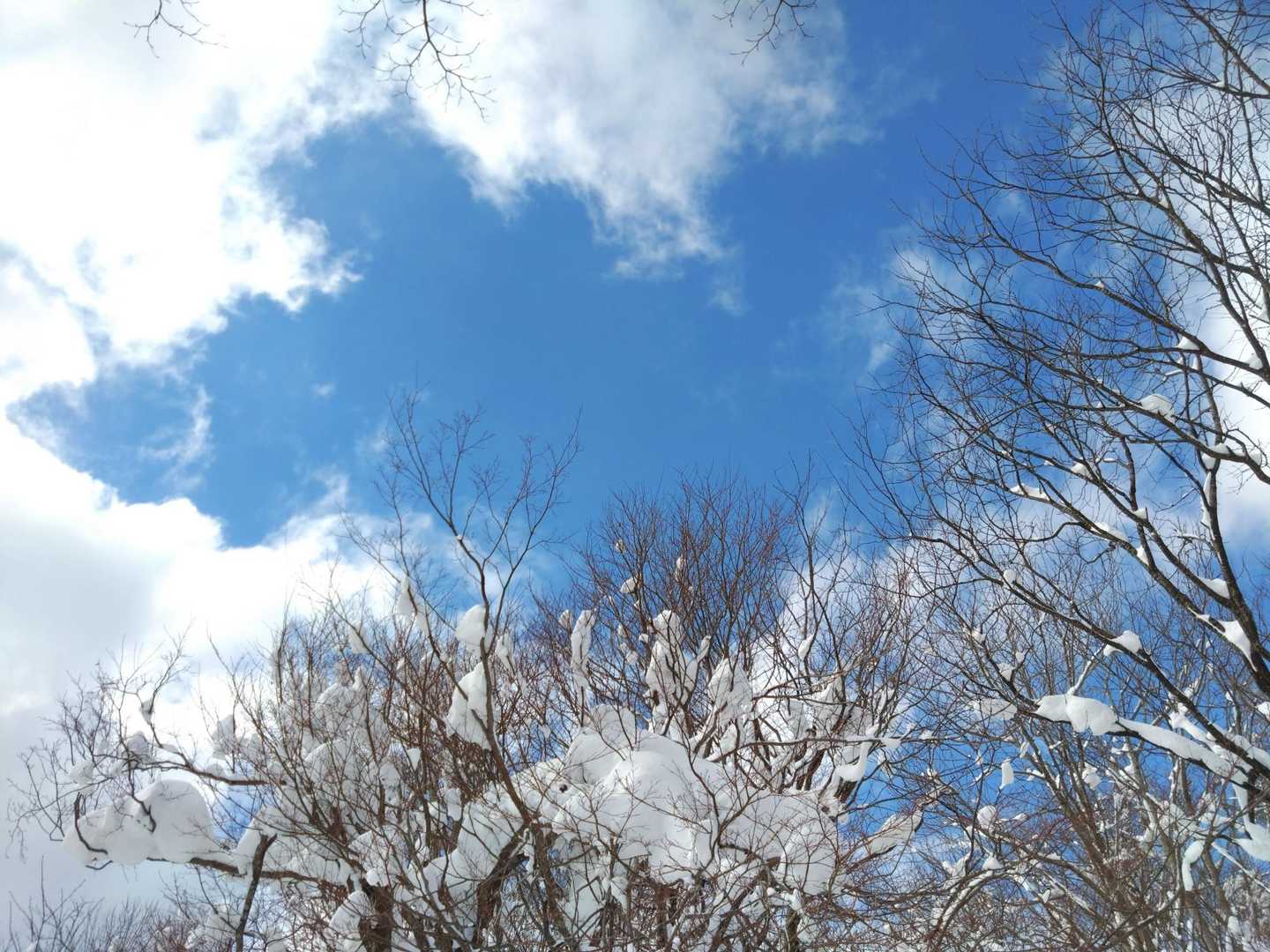 月惜峠に着いたら青空
◯心と冬の空
☁☔⛄️☀天気がコロコロ変わる🤣