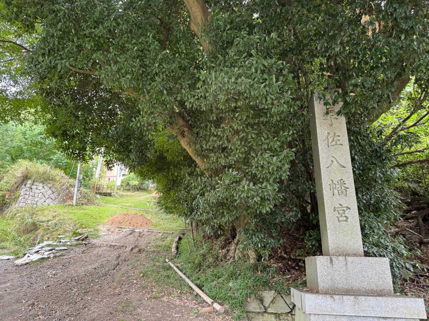 計画は失敗🥹　残念、そして無念…💧


ダイエットは、一日にして成らず🐷💬