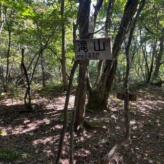 滝山。やれやれです。ここから先の道ははっきりしています。