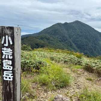 「シャクナゲ平」から約15分で、
　　　　「小荒 🐨 島岳」頂上に到ちゃ〜く❗️
だ〜れもいません 🙅
いるのは、トンボとちょうちょ 🦋 だけ。
ここで、「あらっしまった」ことを思い出す。
「コアラのマーチ」を持ってきて、この山名標識と一緒に撮ろうと思ってたのに … 🥺