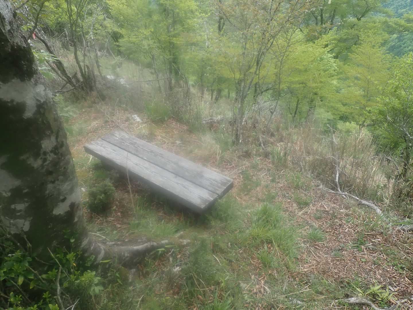ベンチ発見