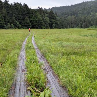 尾瀬の湿原もここまでで見納め💚