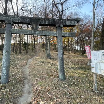 降ってきたら鳥居がありました。
裏から登っちゃったみたい😅