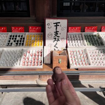 おみくじと御守りを