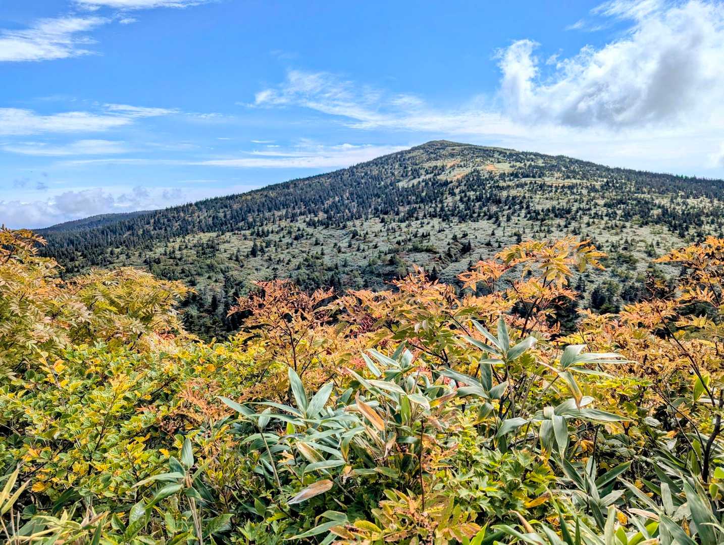 森吉山登山口-一ノ腰-雲嶺峠-森吉神社-森吉山 往復コースの写真