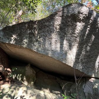 巨石群
YAMAP地図上に岩屋とありましたがこれかな❓