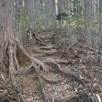 ちょっと急登だったかな🤗