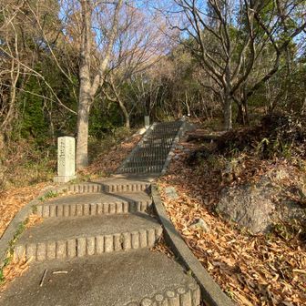 ココをまっすぐ登れば通常コース
右にそれると　岩コース