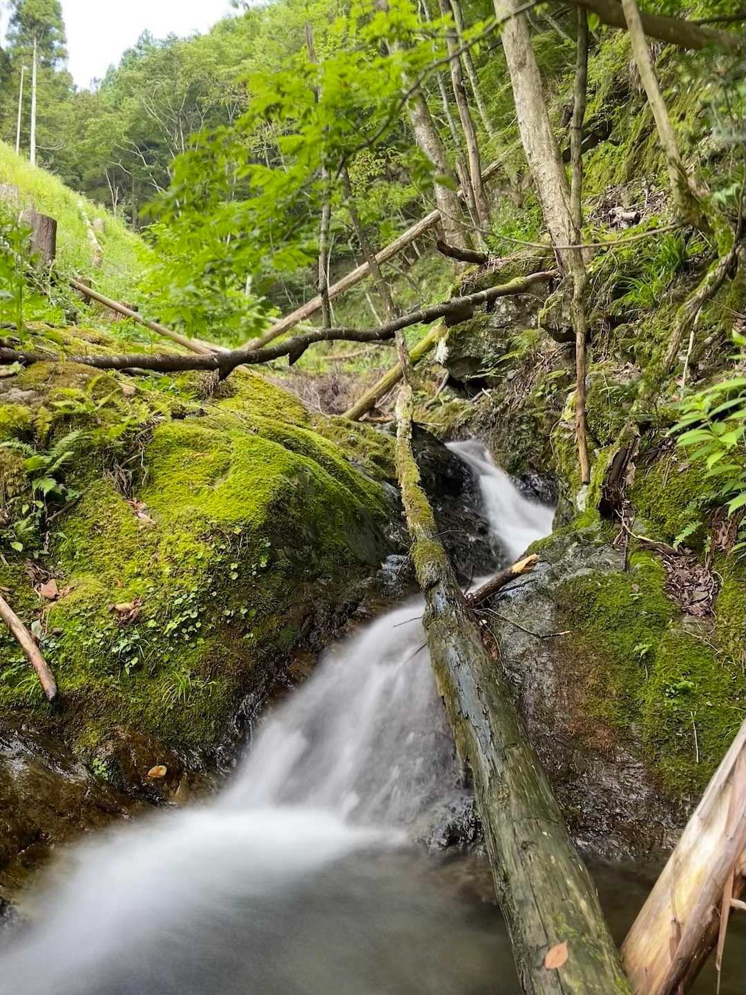 水量そこそこ