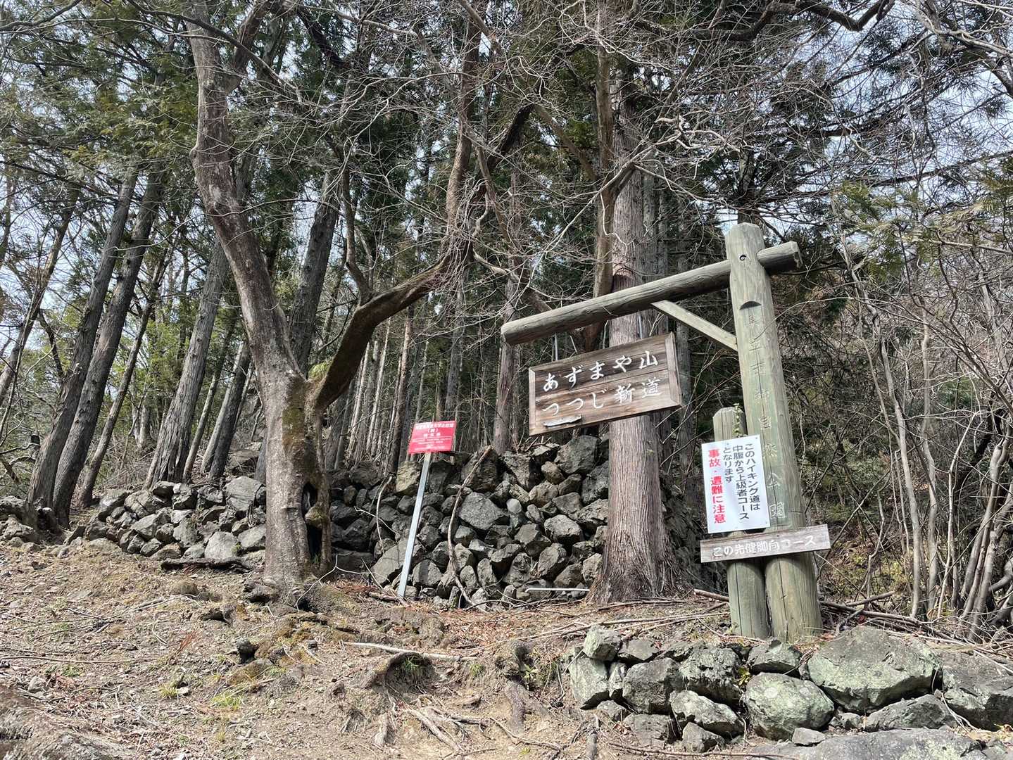あずまや山、つつじ新道。
どちらも別の山を連想する💦

ずっと急登だけど薬師の湯側から上がるより、
サクッと登れそう。
