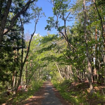 快晴☀️🌈
トレランの方、毎日登山の方などすれ違う🏃‍♂️