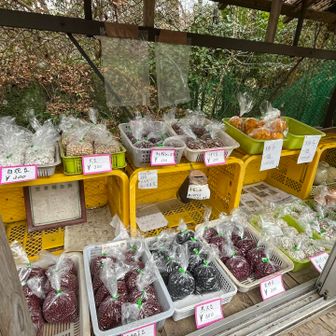 お豆の種類が豊富ー🥰