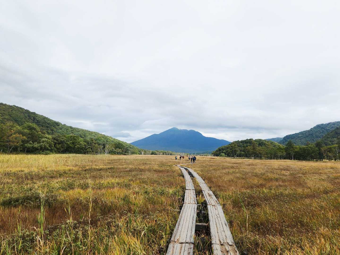 鳩待峠バス停-鳩待峠-燧ヶ岳 往復コースの写真