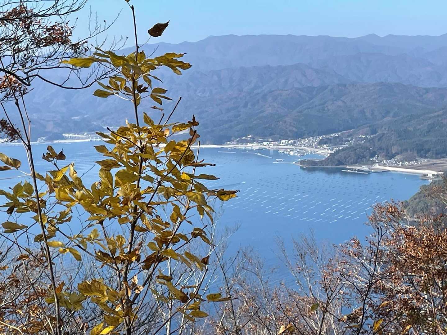 山田湾