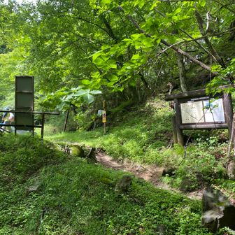 内山峠駐車場まで戻ってきました
14時05分ハイキング終了