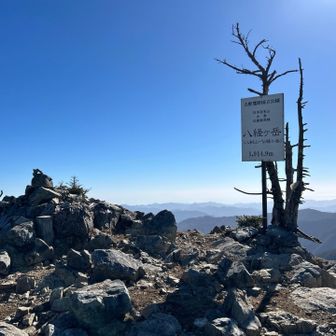 たるざえもん