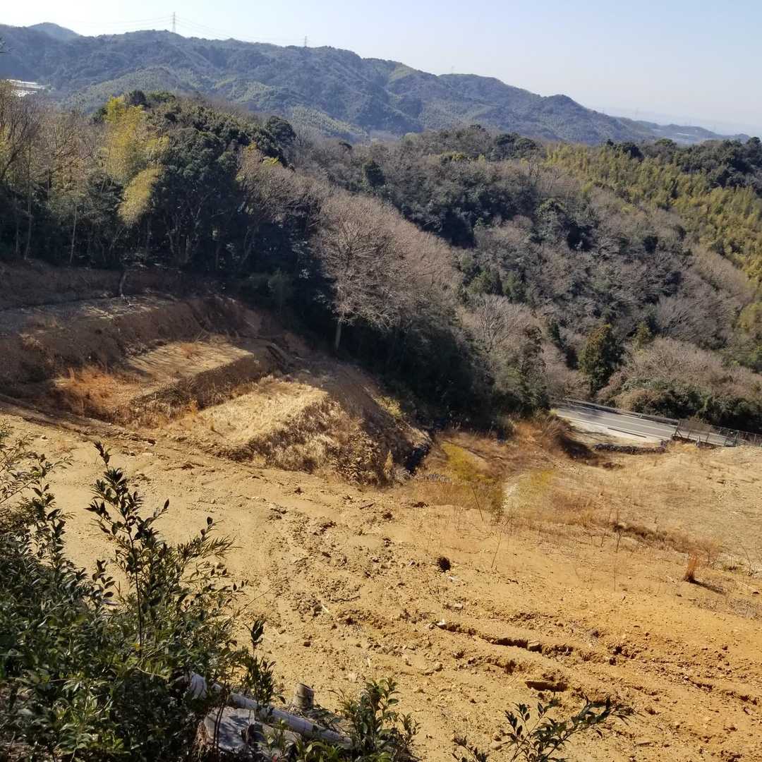 すごっ
