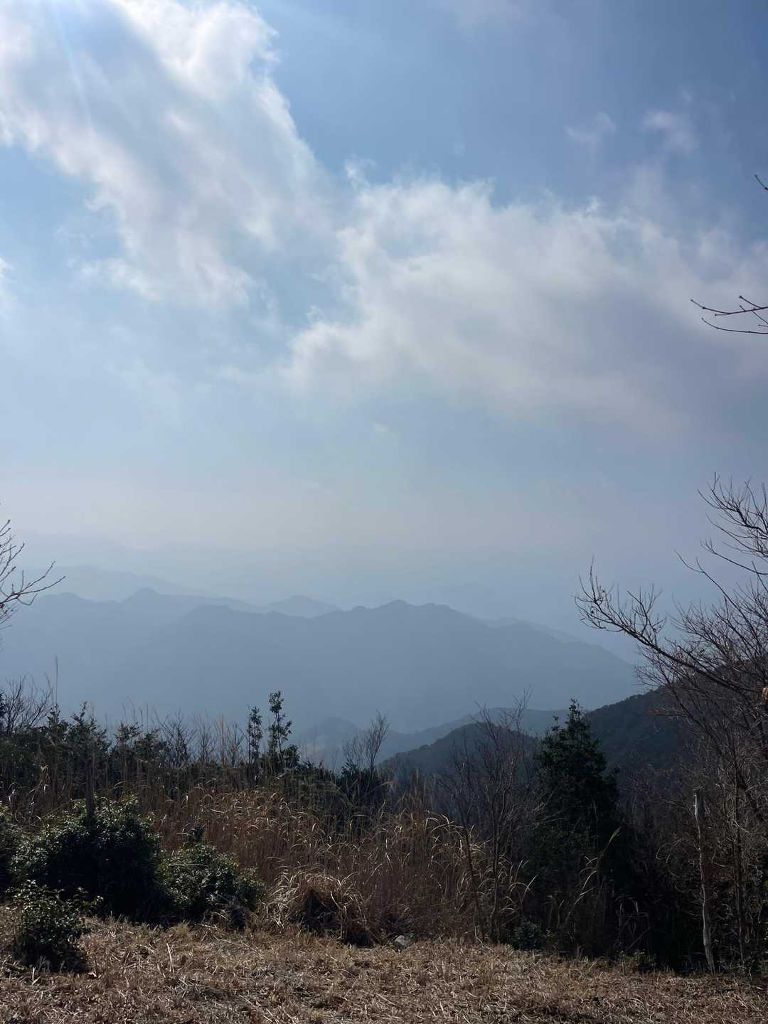 山頂からの眺め