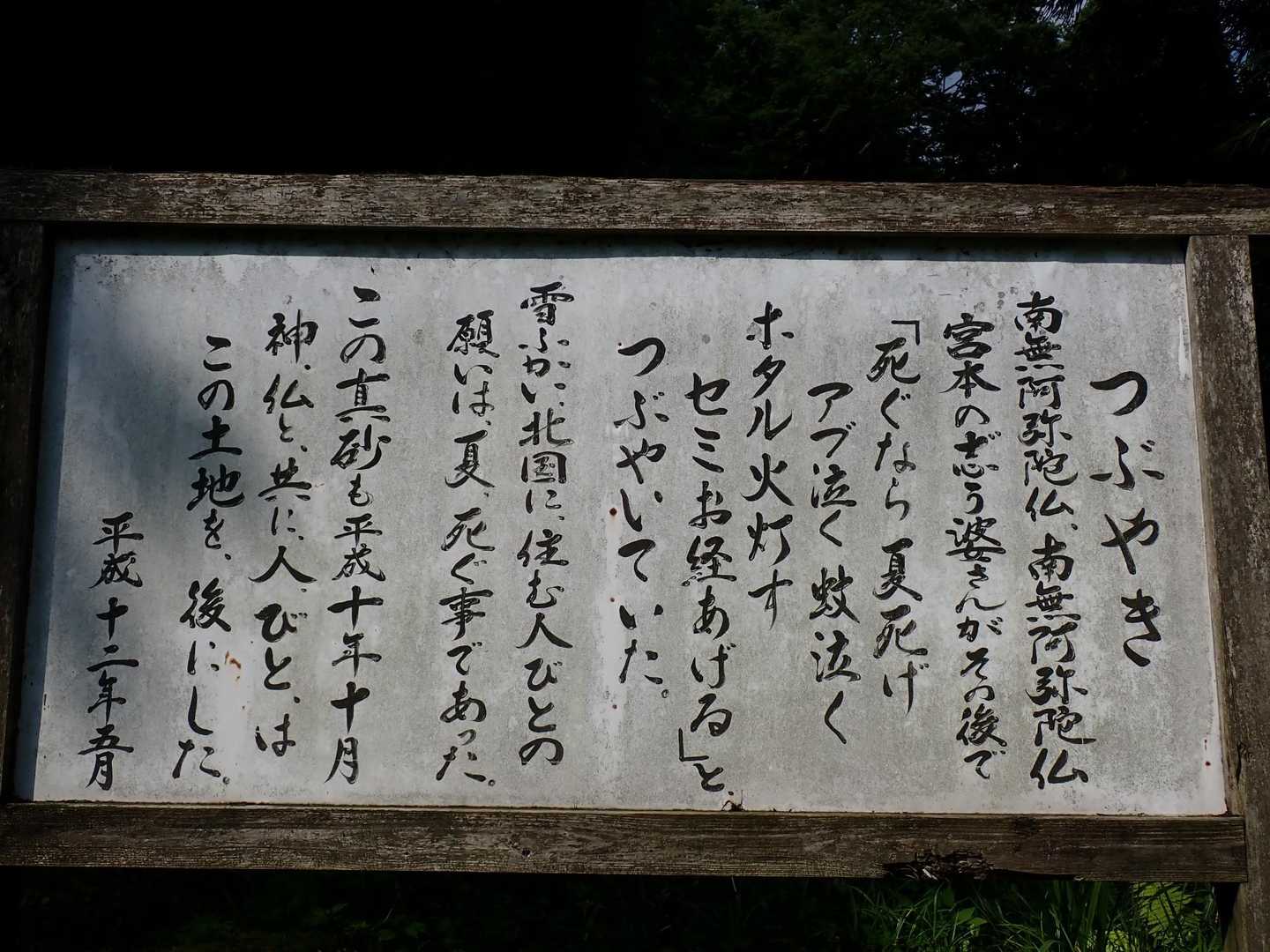 蝉がお経をあげる。ここに生まれて幸せと感じる。山でも春蝉が鳴いていました。