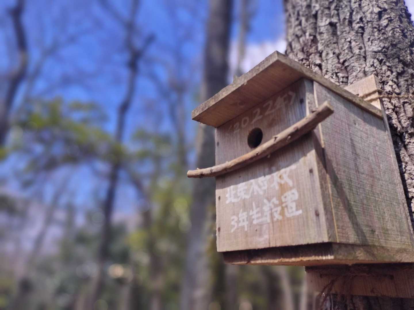 鳥の巣箱がたくさんありました🐦️