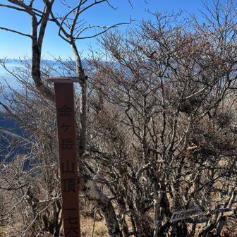 金ヶ岳山頂
枝が多いね〜