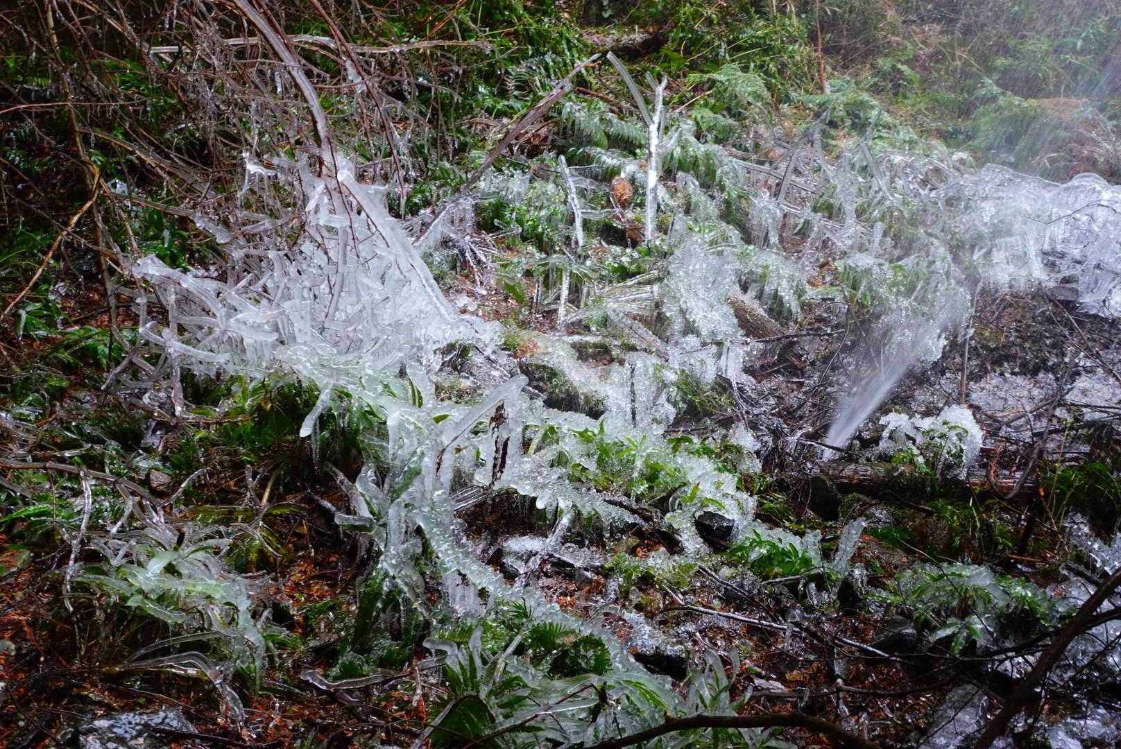 田代峠-龍門山 周回コースの写真