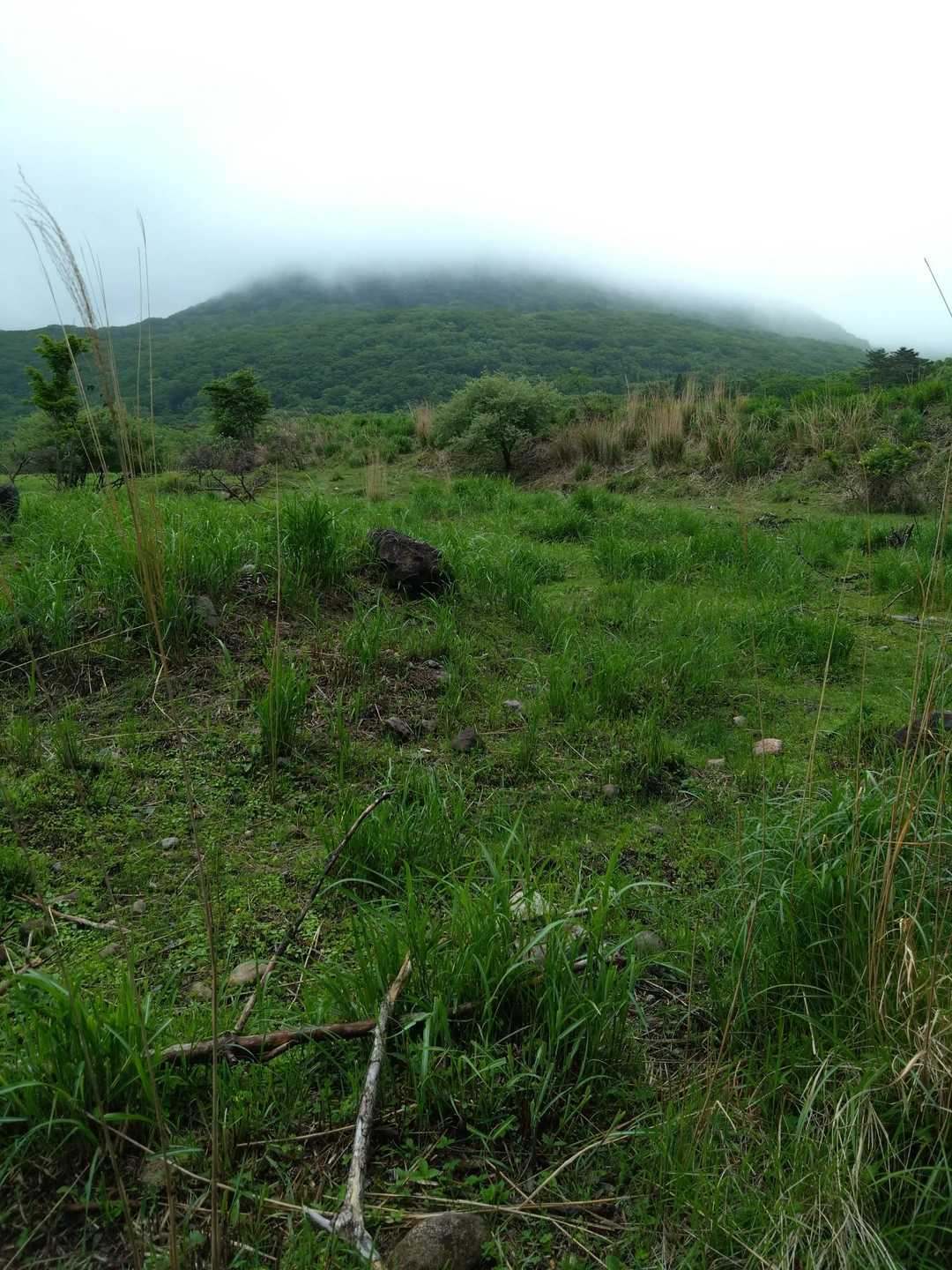 で…指山〜🤣