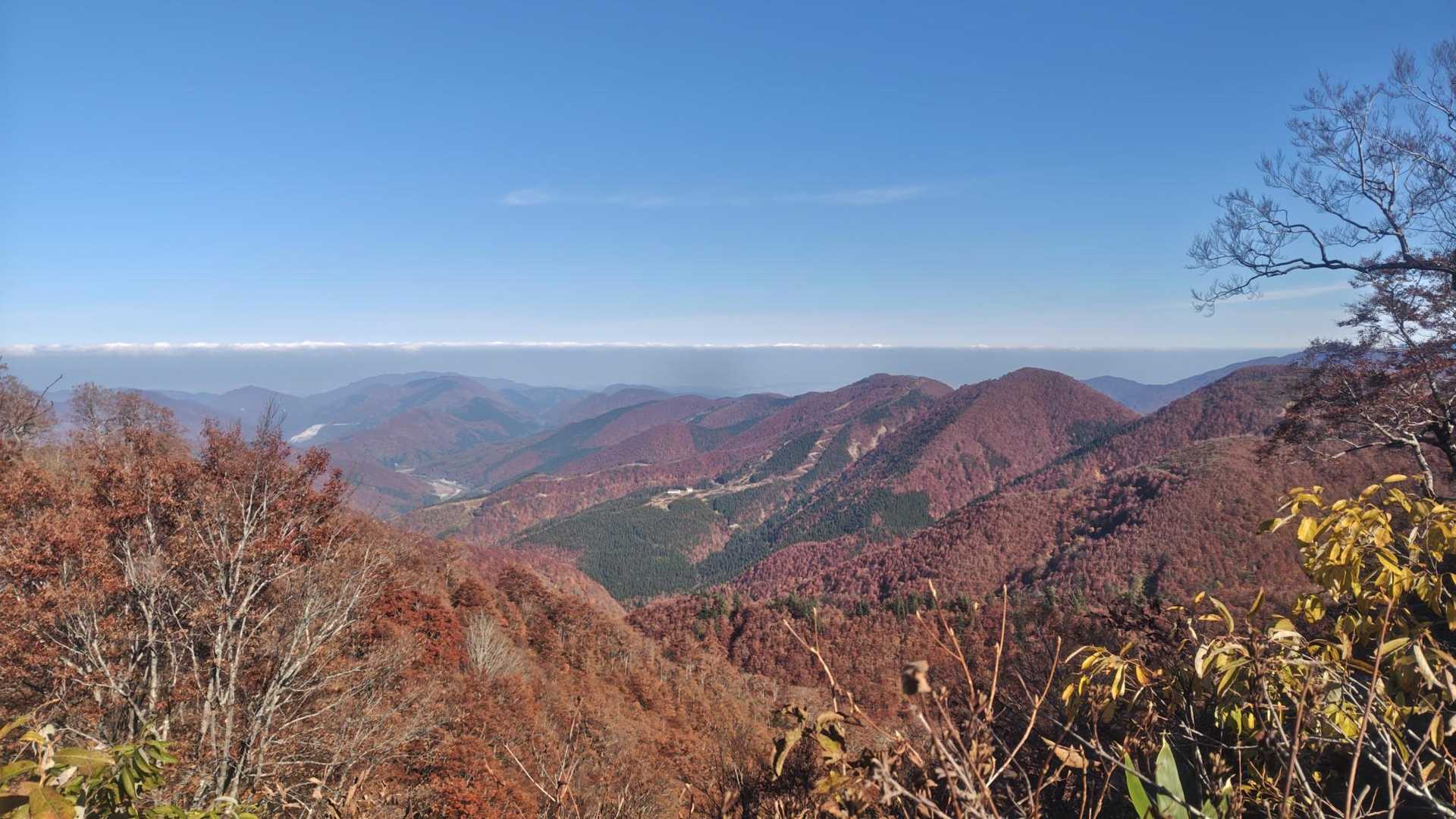栃谷登山口-片折岳-前金剛-中金剛-奥金剛-東俣登山口 周回コースの写真