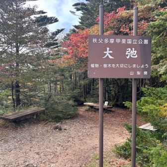 大弛峠へ戻りました。反対側も齧ります