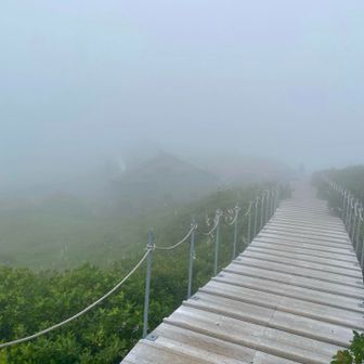 けっこうなガッスガスで、すぐ下の頂上小屋ですら霞んでよく見えません😶‍🌫️💦