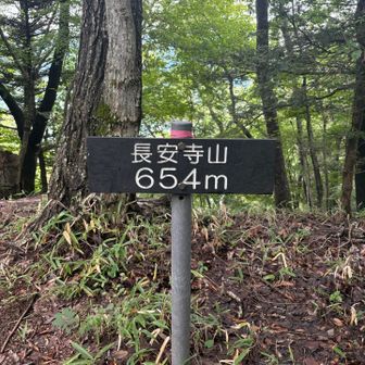 長安寺山登頂〜