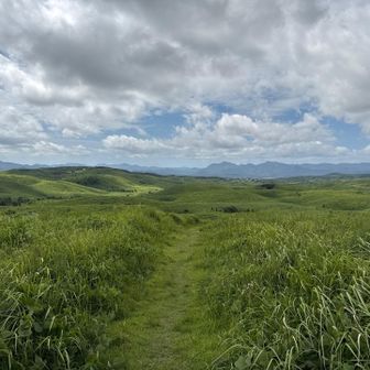 歩き易い登山道を下る。