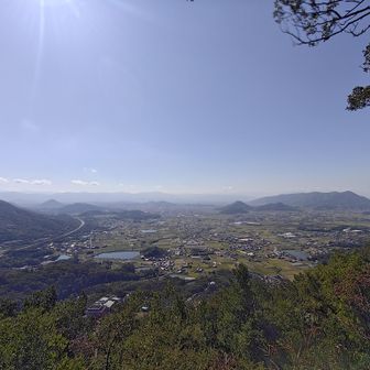 全部立ち寄るので
なかなか進まない😆