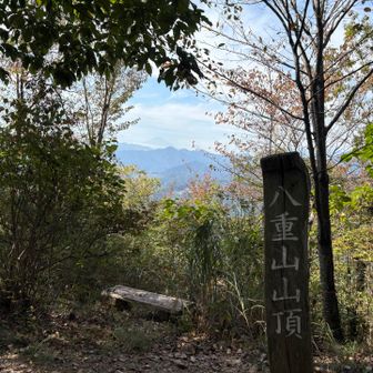 八重山からの薄ら富士。自分が八重山だと思ってたところは今日は行かなかったのですが展望台だったみたい😊
