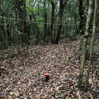 茶色ロープを無視して白ロープに沿って真っ直ぐ