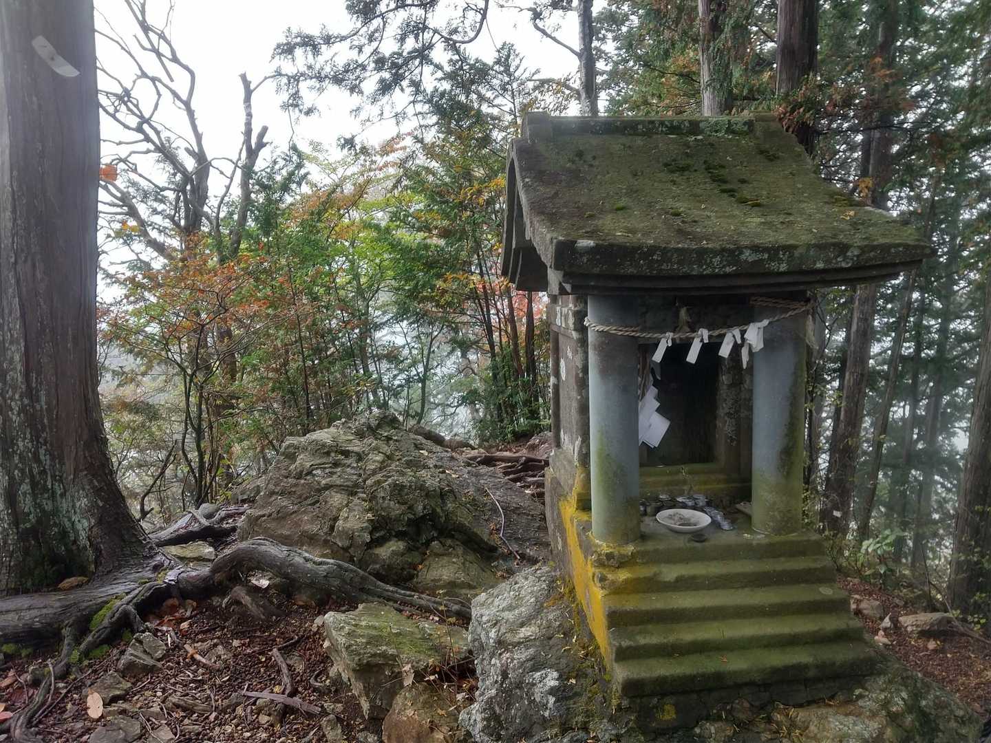 よっこらしょ···
辿り着いた奥の院
紅葉🍁少し色づき始め😊