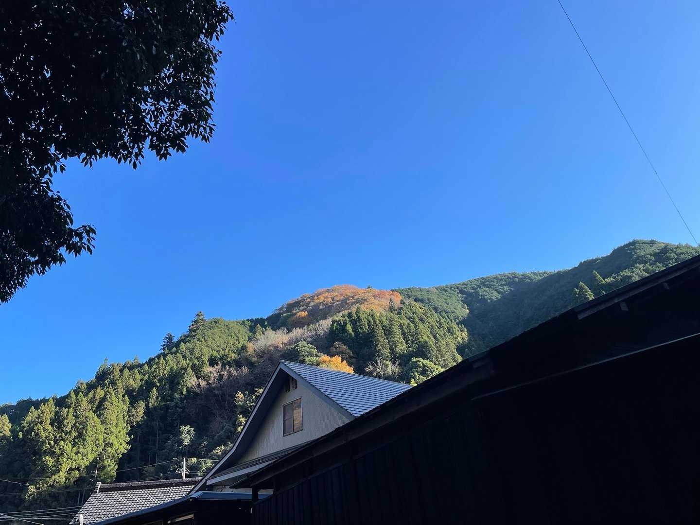 下山。バス停近くで柚子を売っていました。
チェック✅3個200円だったかな。
前日に実家で柚子を大量にもらったので
高く感じてしまう💦