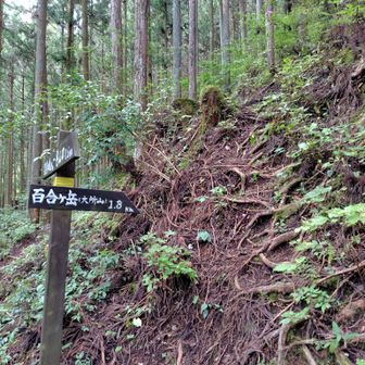 ここから地獄の急登続き👹