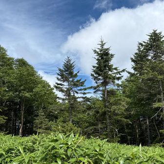 夏らしい山の日
避難小屋前で

